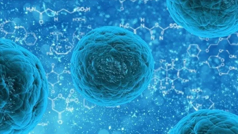 Çocuklarda ani kusma ve ishal norovirüs habercisi olabilir uyarısı