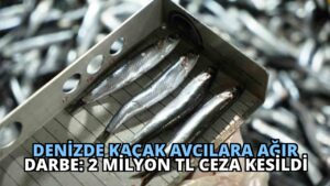 Denizde Kaçak Avcılara Ağır Darbe: 2 Milyon TL Ceza Kesildi